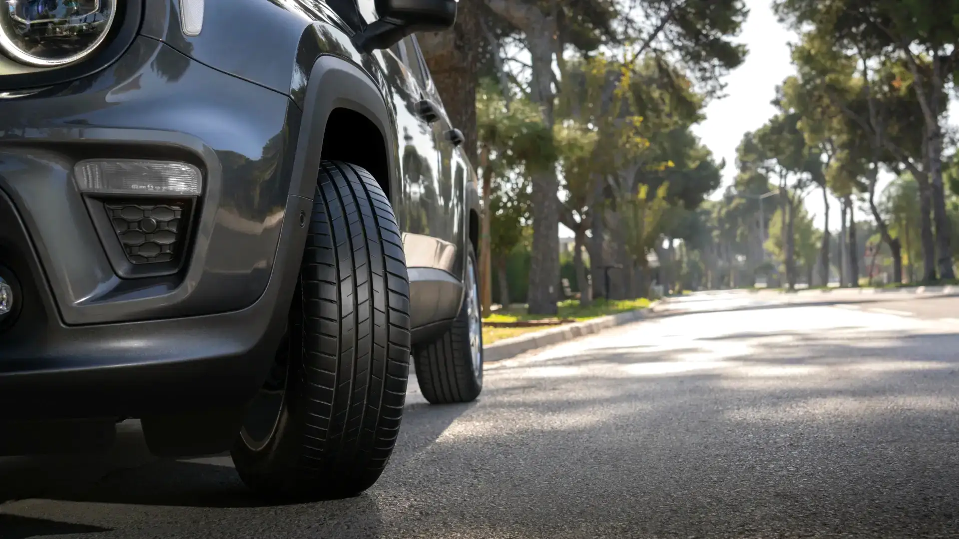 Competus HP3 Image 2