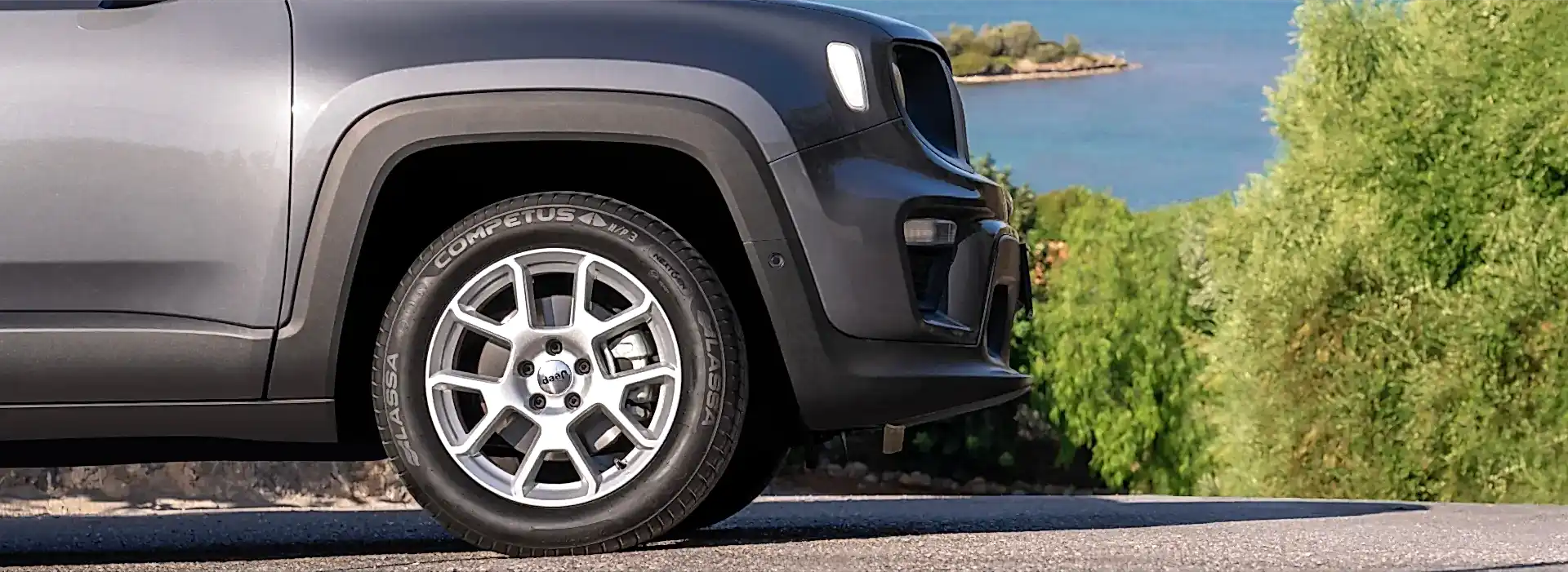 Competus HP3 Image 3