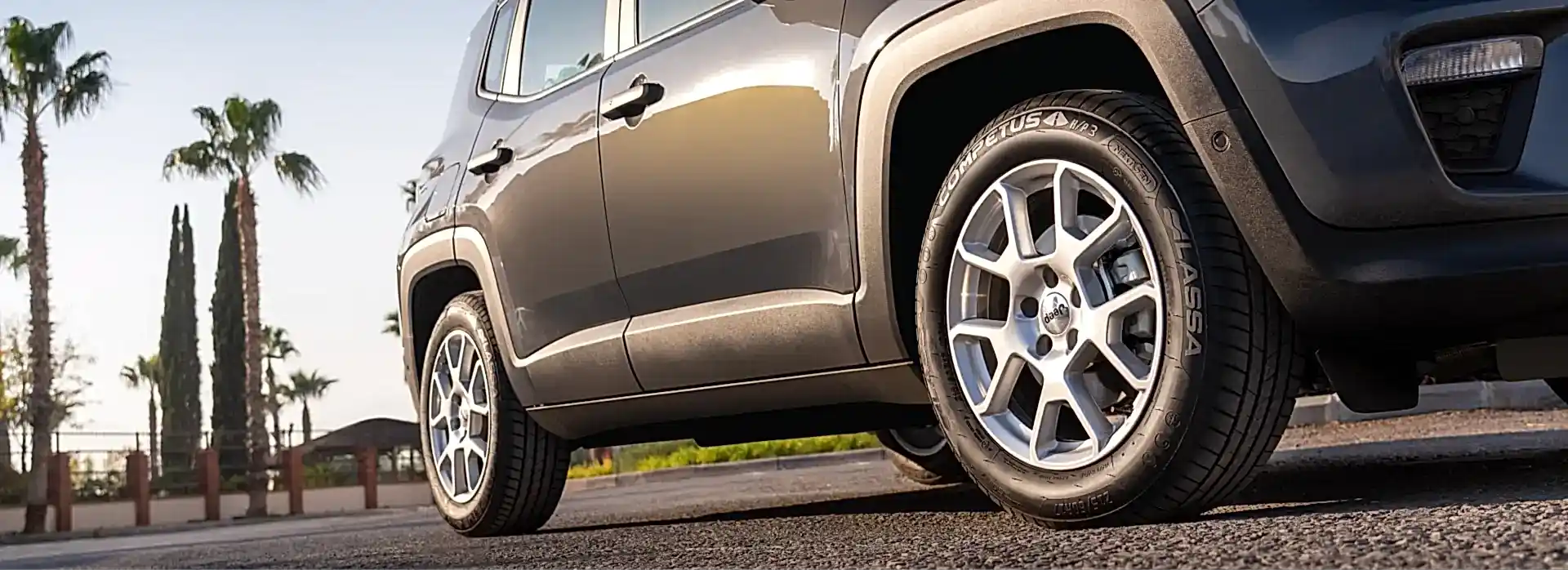 Competus HP3 Image 6